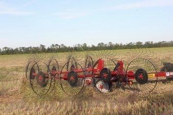 Грабли колесно-пальцевые Kolibri V