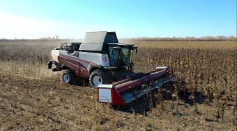 Подсолнечная безрядковая жатка Sun Stream