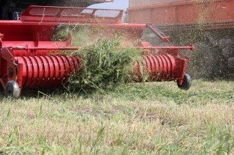 Платформа-подборщик кормоуборочный For Up 300D